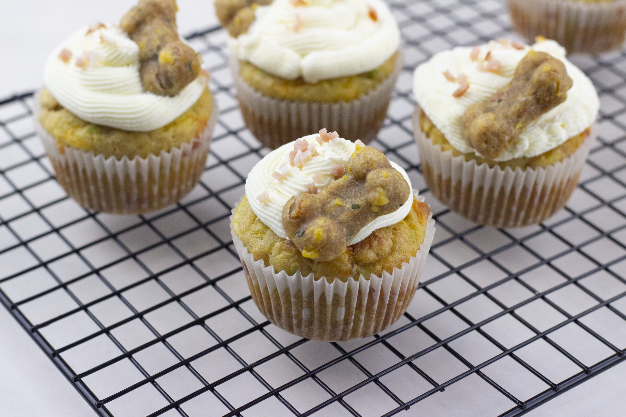 Bacon & Cheddar Cupcakes